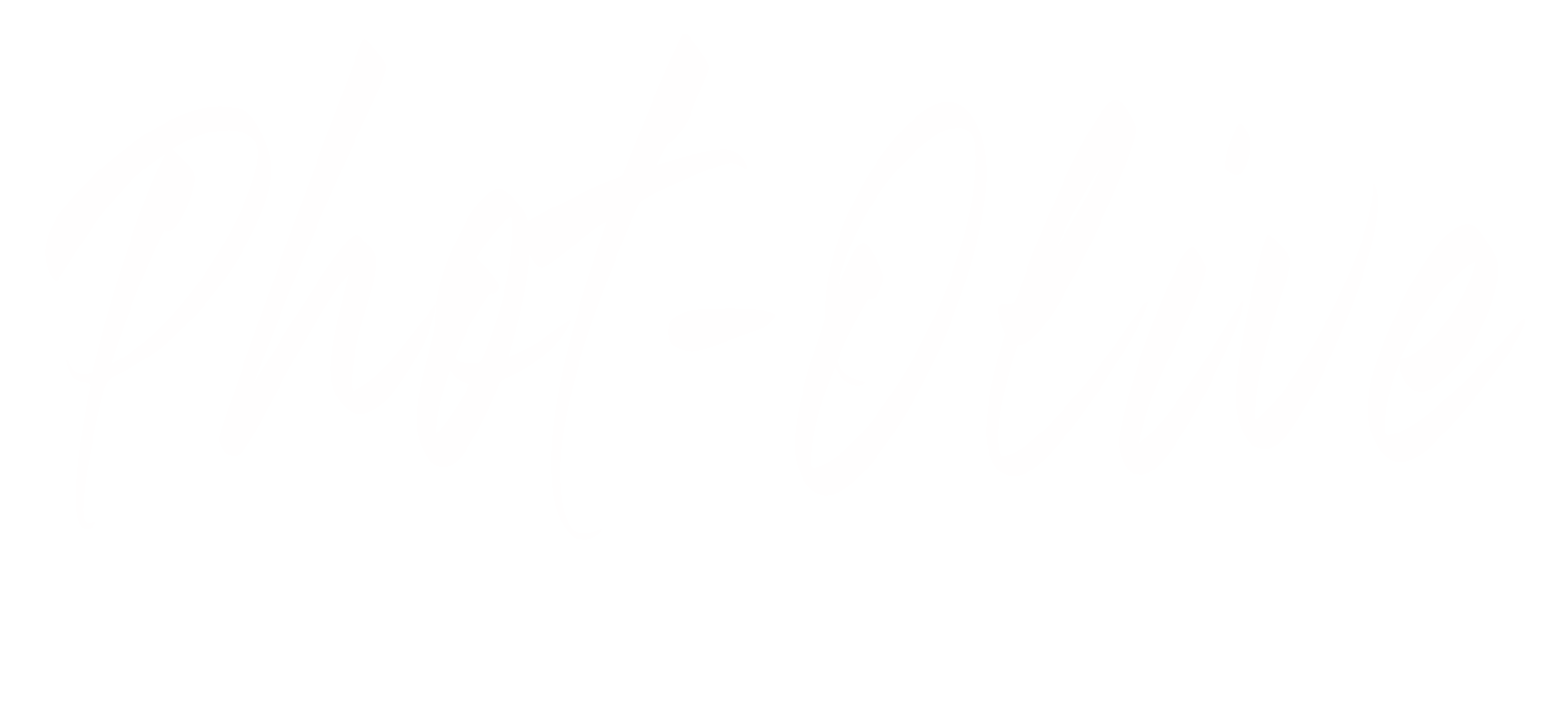 Logo Phot-Olive blanc